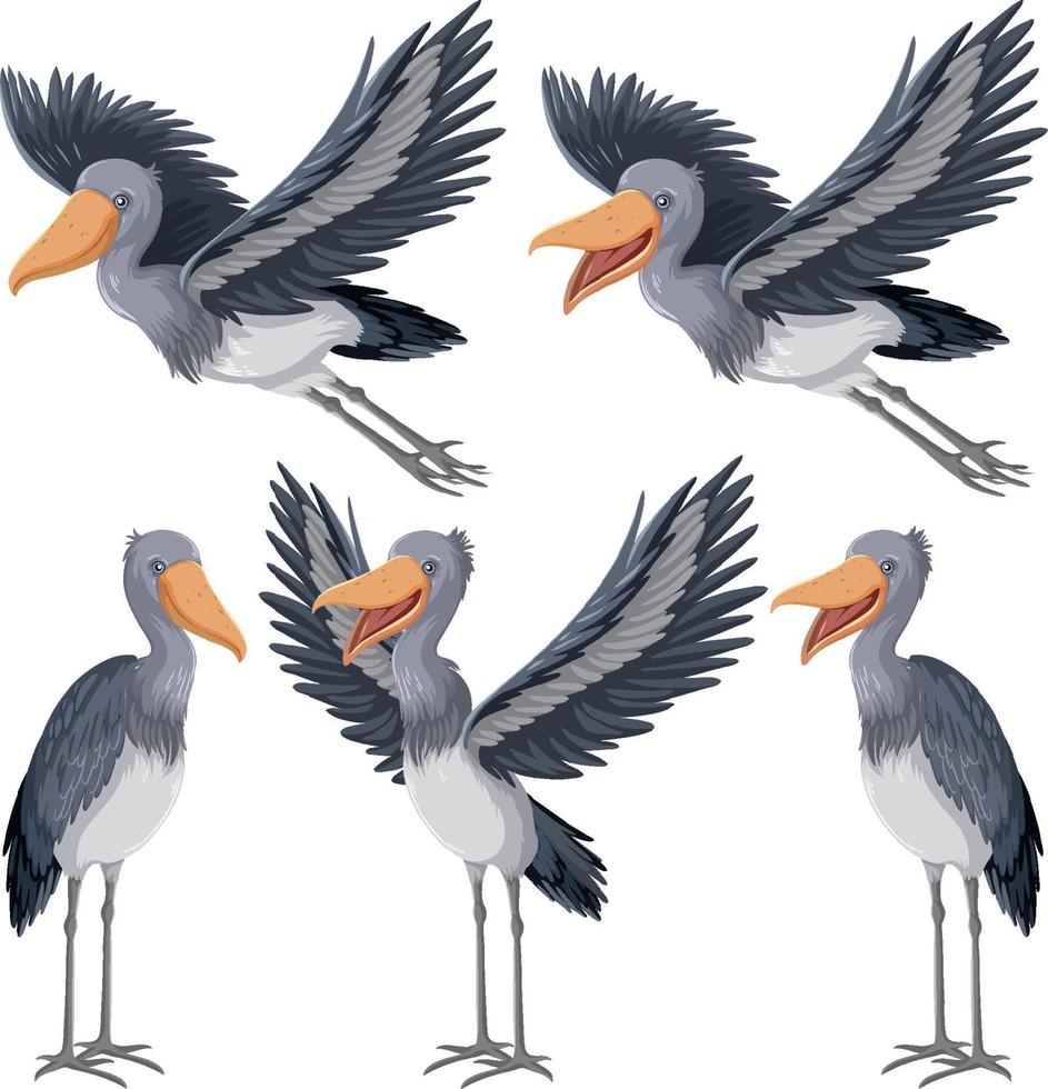 conjunto de diferentes pájaros de cigüeña en estilo de dibujos animados vector