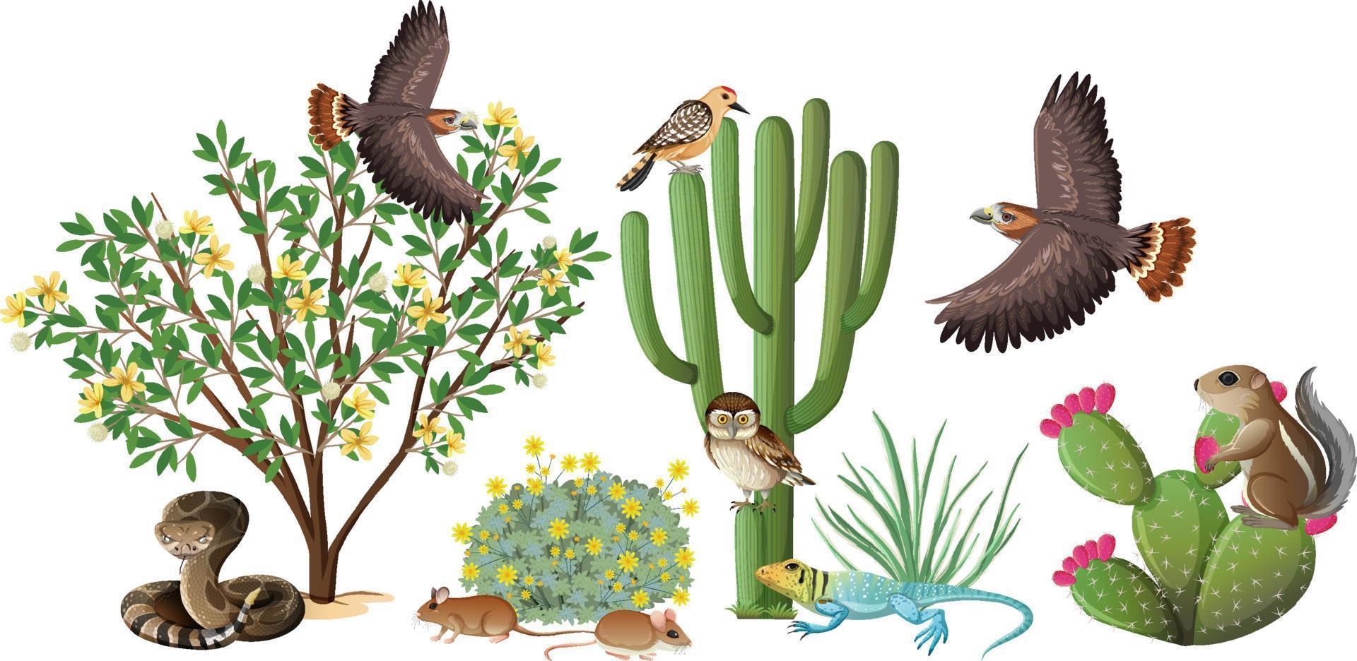 Many animals in the garden vector