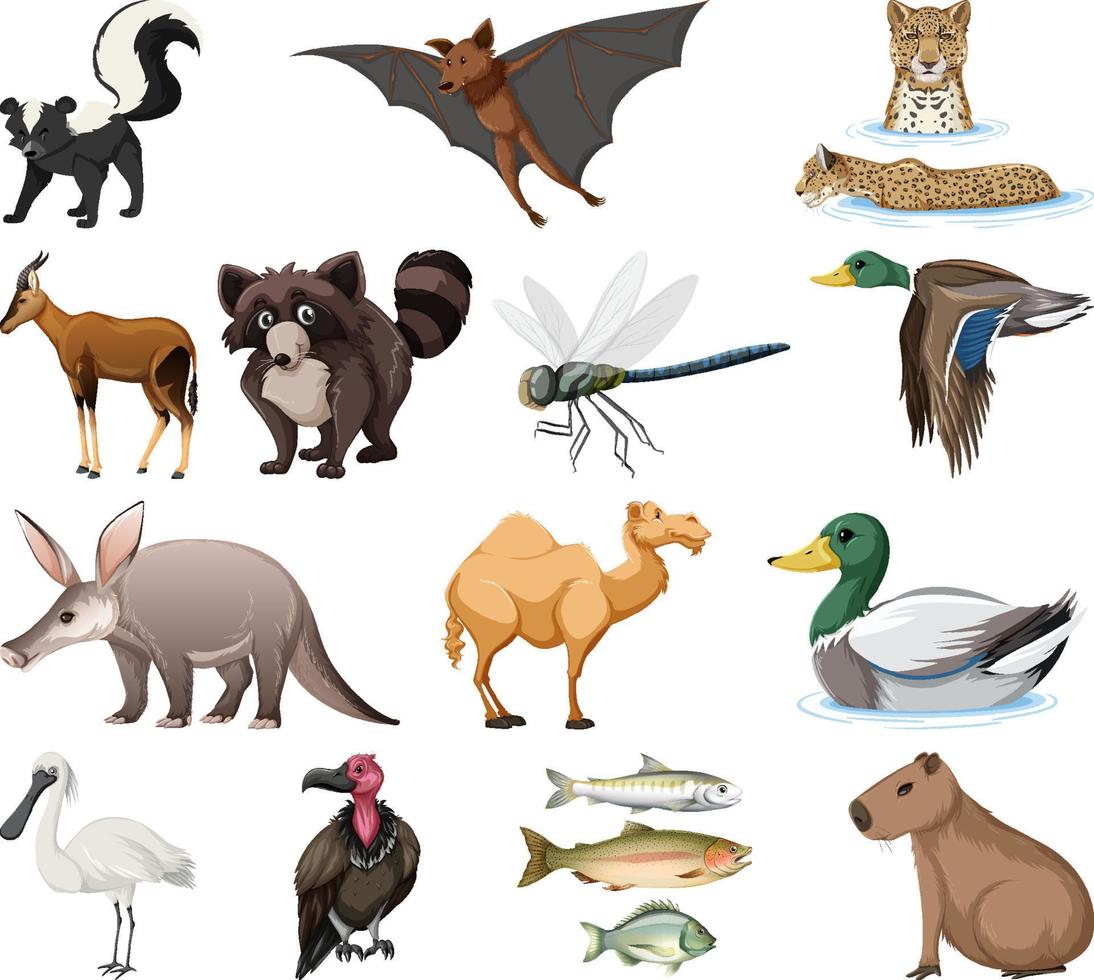 colección de diferentes tipos de animales vector