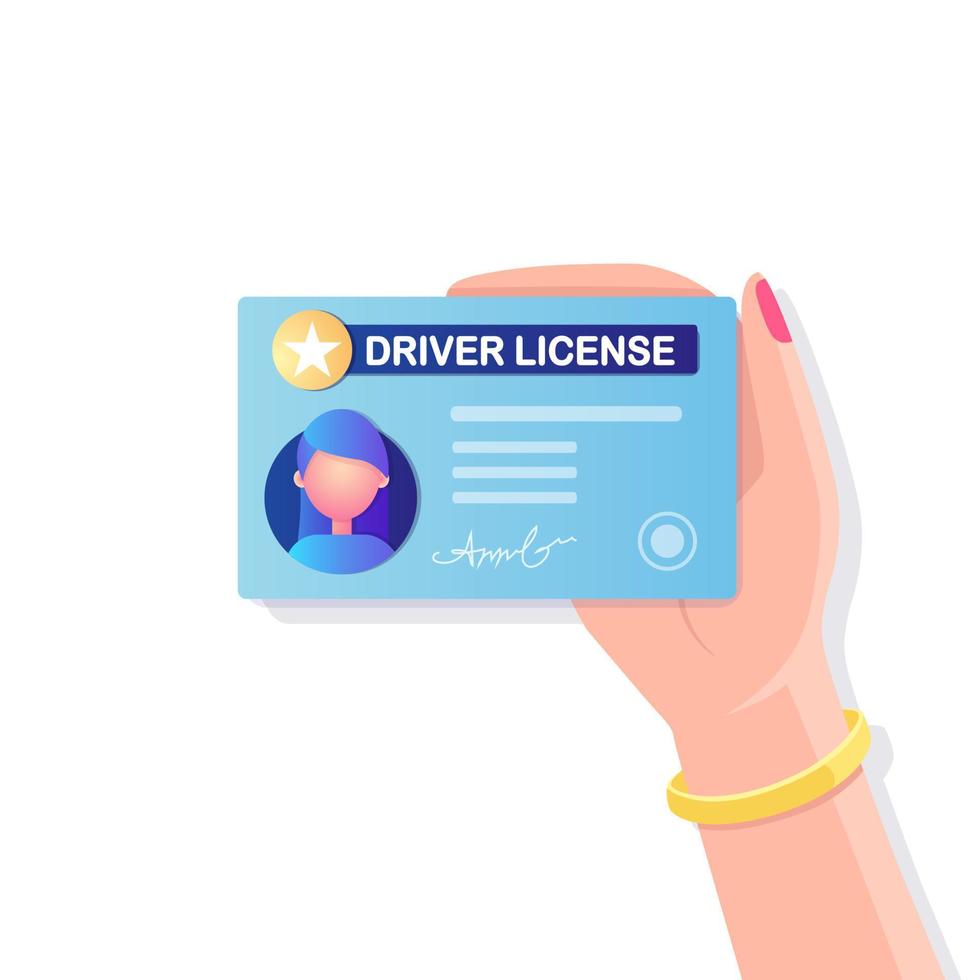 Driver license card with foto isolated on white background. Id document for driving car. Vector flat design