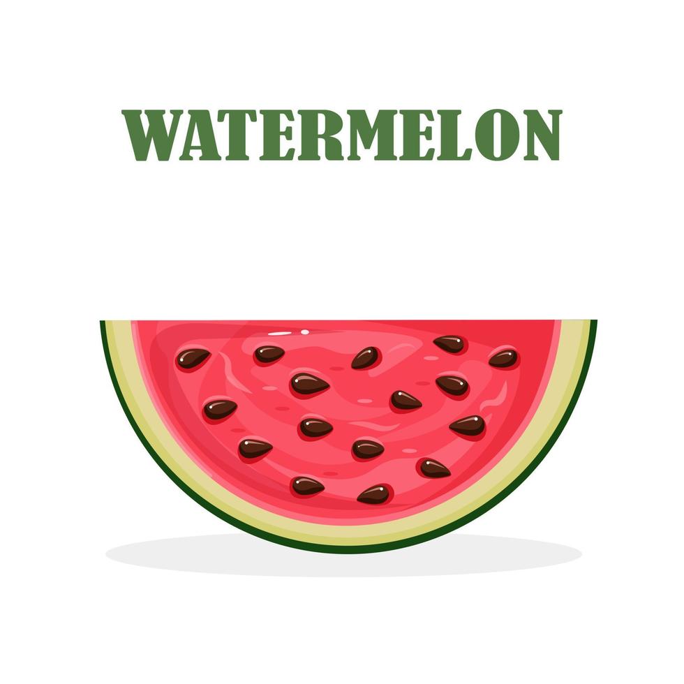 Watermelon slice with peel and seeds isolated on background. Summer fruit for vegetarian diet, healthy lifestyle. Vector cartoon design