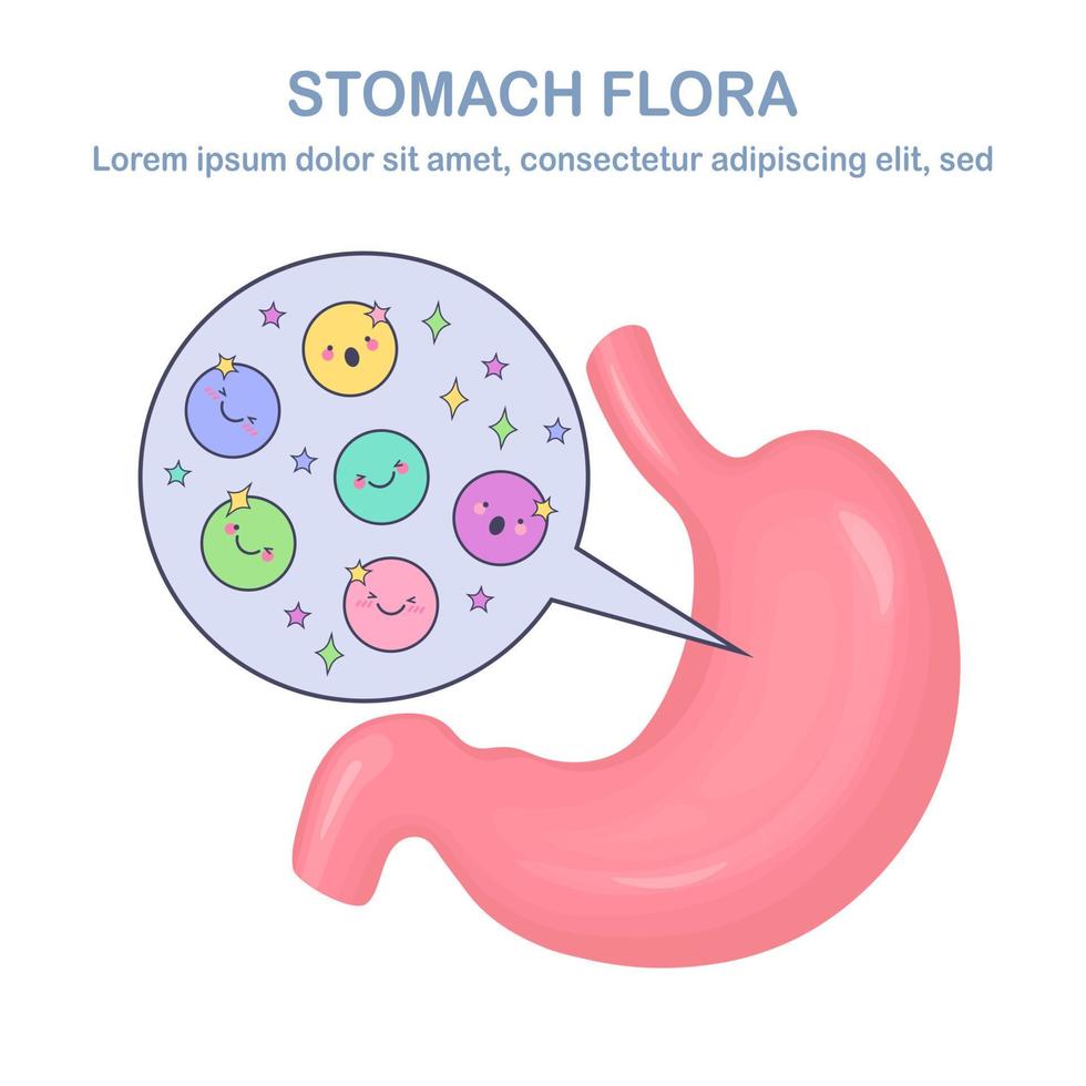 Stomach flora. Digestive system, tract with cute good bacteria, virus, microorganisms, probiotics isolated on white background. Internal human organs. Medical, biology concept. Vector flat design