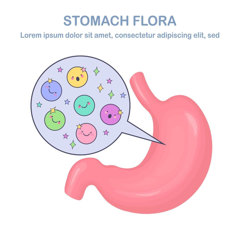 flora estomacal. sistema digestivo, tracto con lindas buenas bacterias, virus, microorganismos, probióticos aislados en fondo blanco. órganos humanos internos. concepto de biología médica. diseño plano vectorial vector