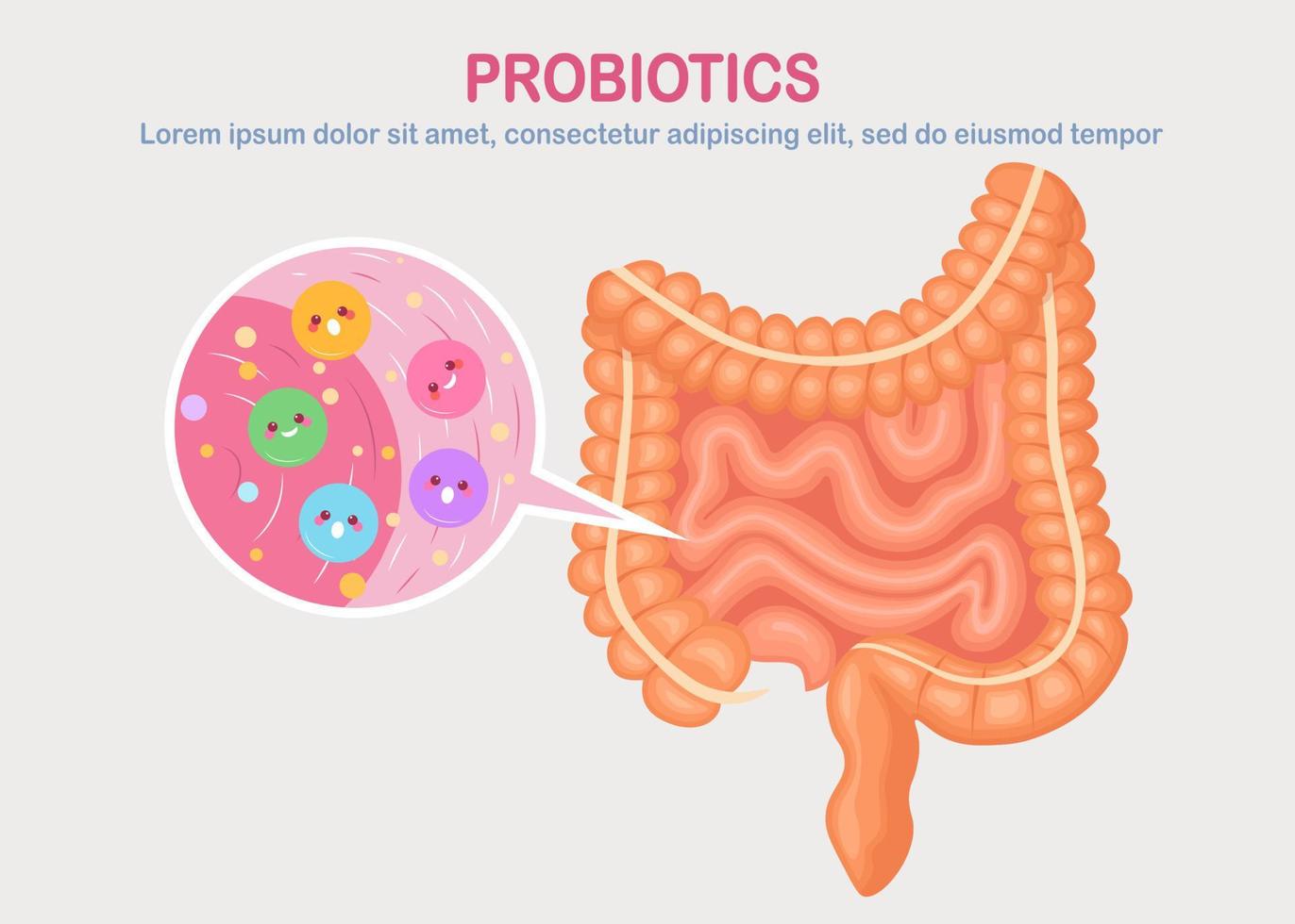 intestinos, tripas flora aislado sobre fondo blanco. sistema digestivo, tracto con lindas bacterias, probióticos, virus, microorganismos. medicina, concepto de biología. colon, diseño plano del vector intestinal