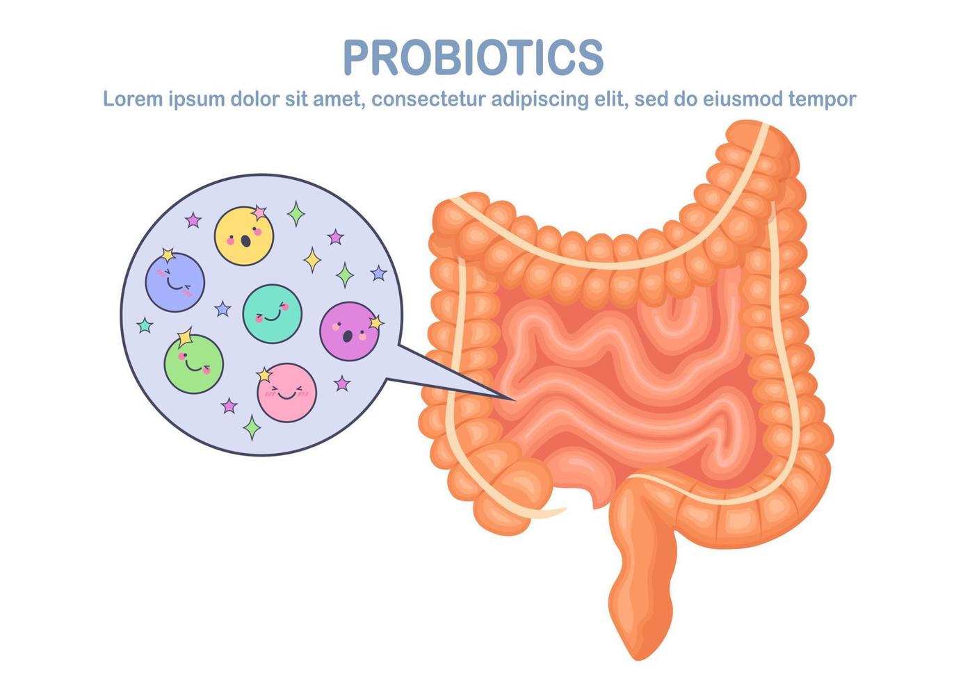 intestinos, tripas flora aislado sobre fondo blanco. sistema digestivo, tracto con lindas bacterias, probióticos, virus, microorganismos. medicina, concepto de biología. colon, diseño plano del vector intestinal