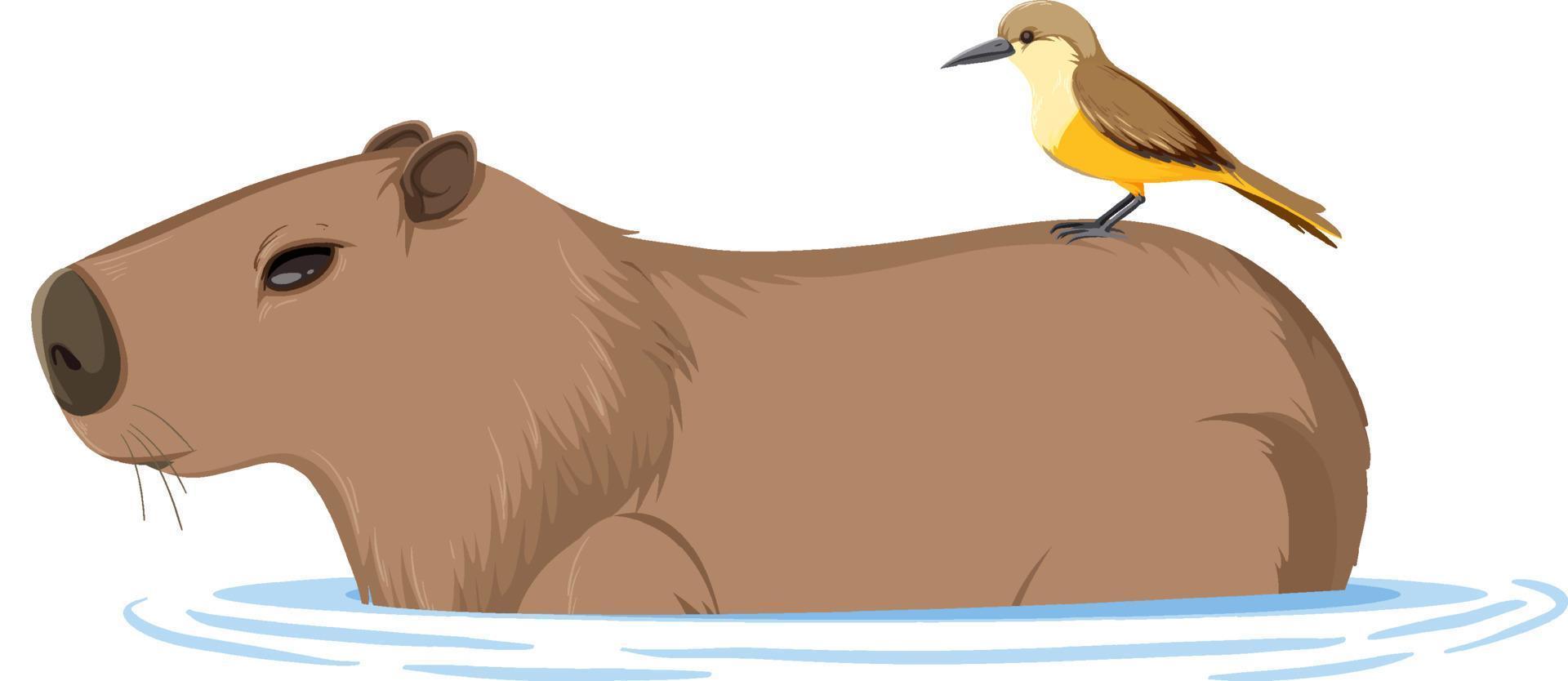 Capybara Animal Isolated Coloring Page for Kids 19979743 Vector Art at  Vecteezy