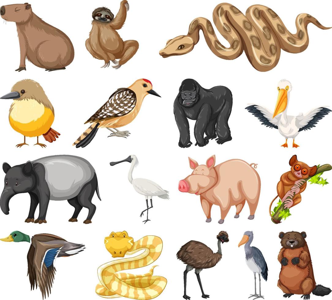 colección de diferentes tipos de animales vector