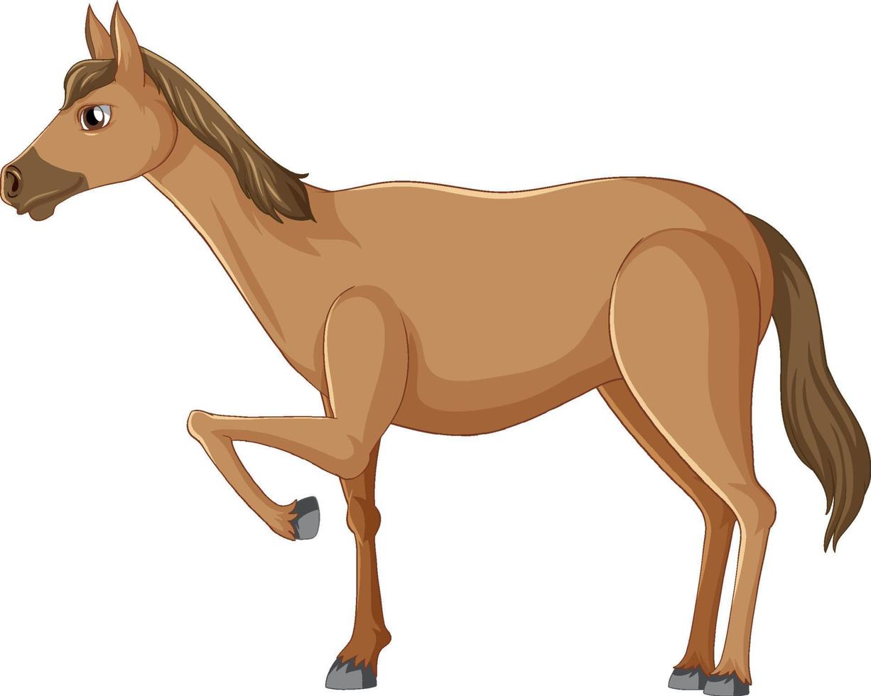 un bonito caballo marrón sobre fondo blanco vector