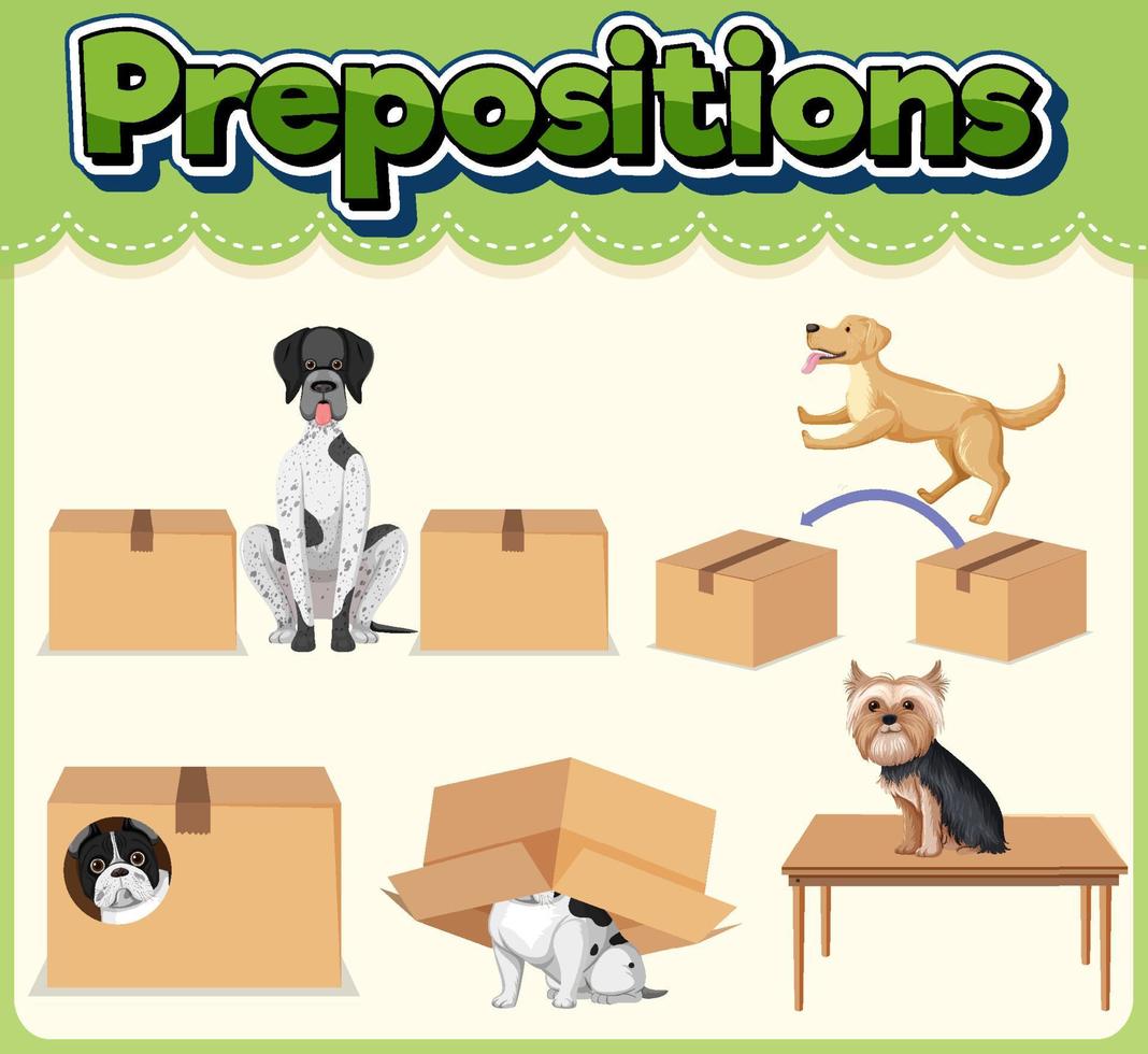 Preposition wordcard with dog and box vector