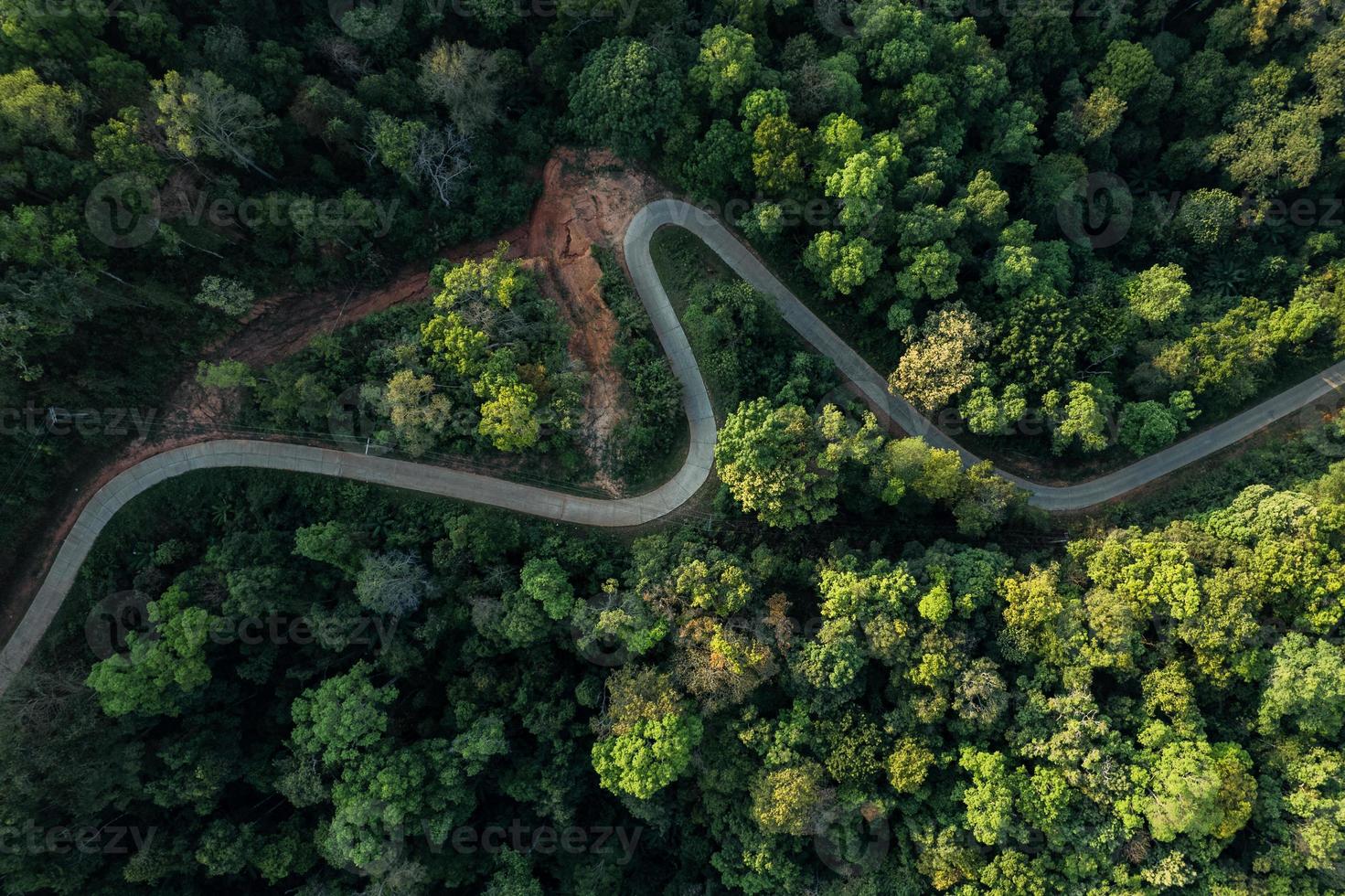 high angle tropical forest and road into the forest photo