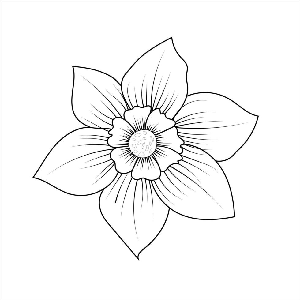jonquil outline flower vector