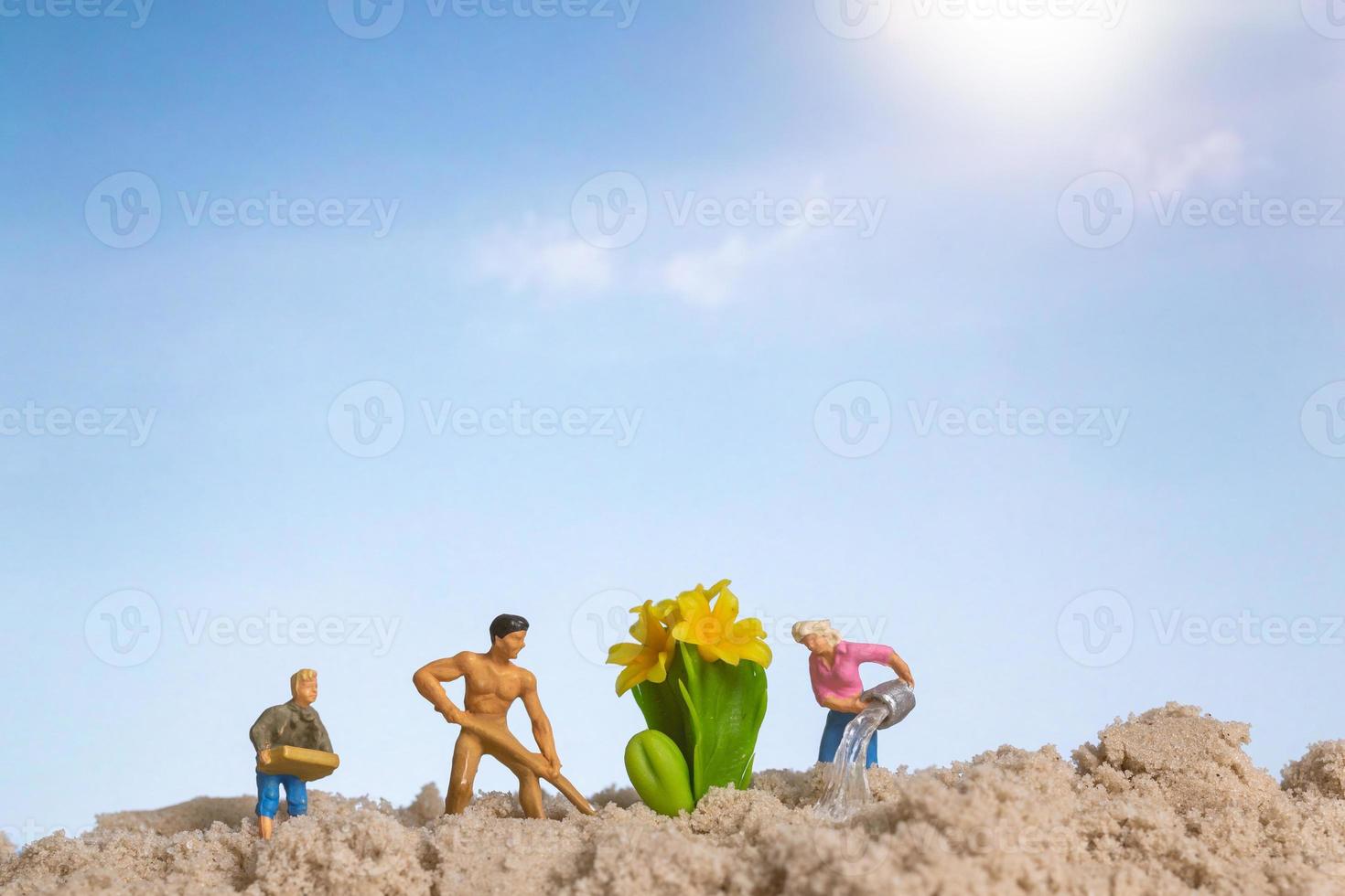 jardinero de personas en miniatura trabajando en plantas de cactus foto