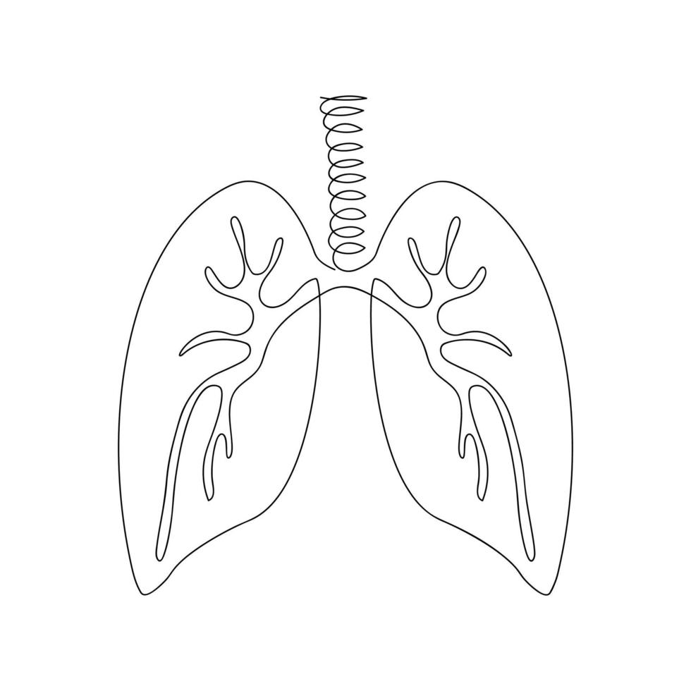 Lungs drawn by one line. Human organ sketch. Continuous line drawing anatomical art. Vector illustration in minimal style.