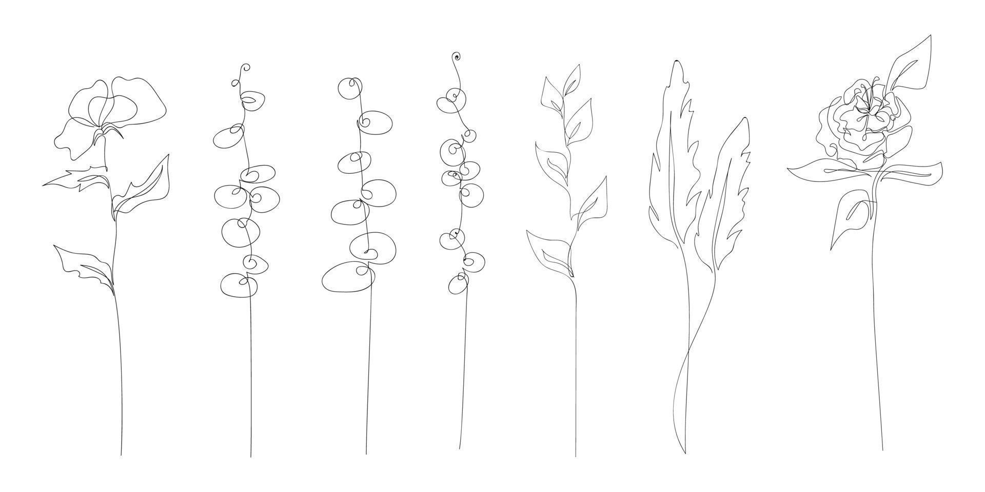 Set of abstract flowers and branches plants drawn by one line. Floral sketch. Continuous line drawing botanical art. Decoration elements for card invitation, certificate design. Vector illustration.