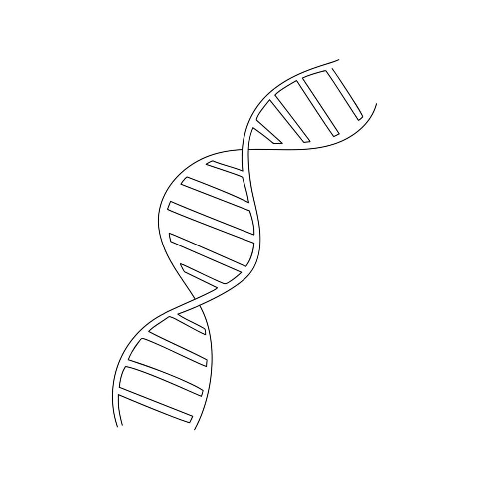 DNA molecule drawn in one line. Spiral sketch. Continuous line drawing art. Minimalist art. Vector illustration.