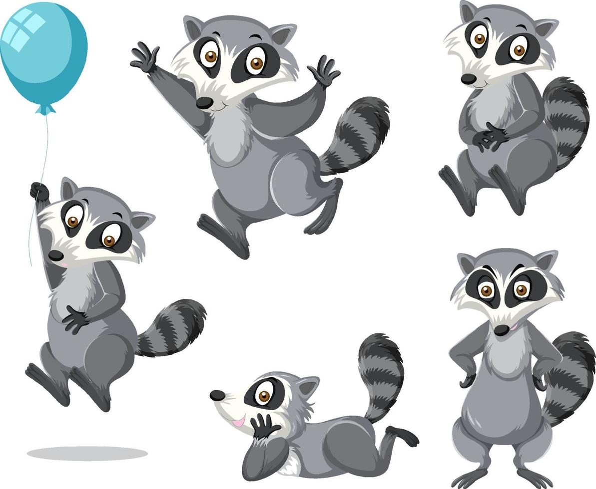 Set of raccoon in different posts vector