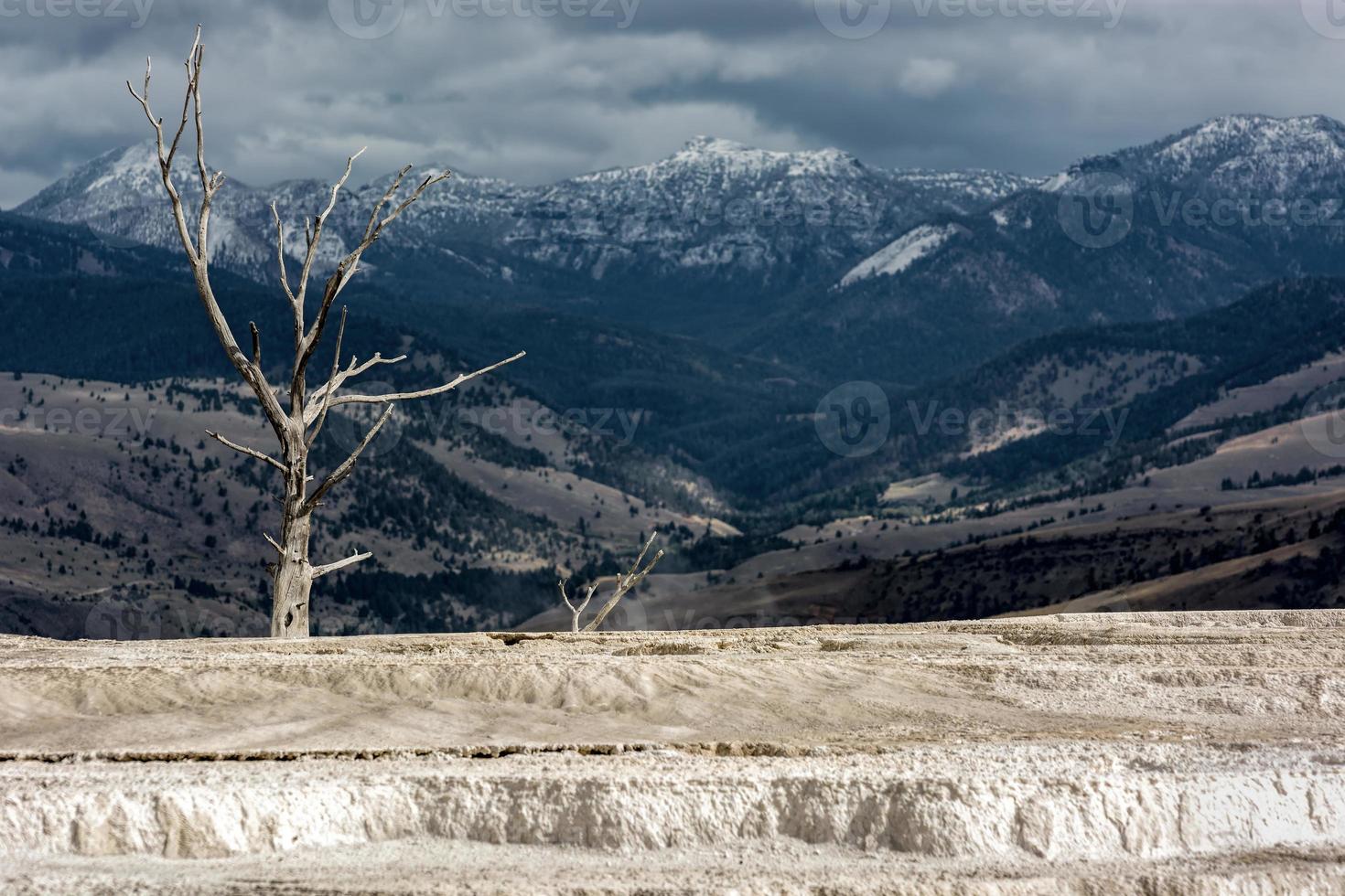 Mammoth Hot Springs photo