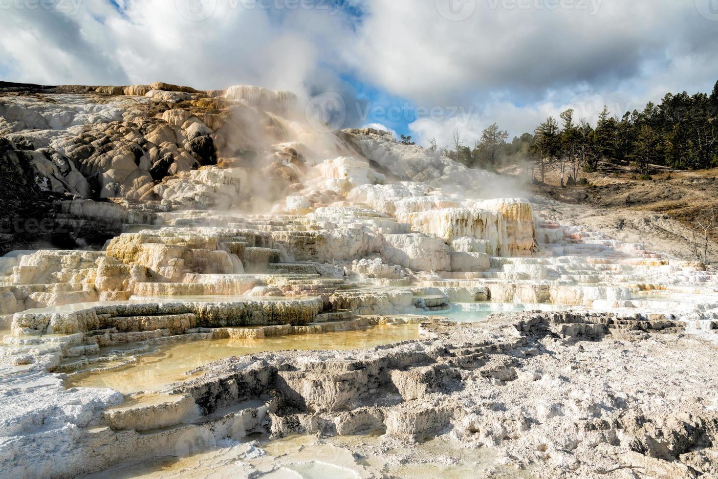 Mammoth Hot Springs photo