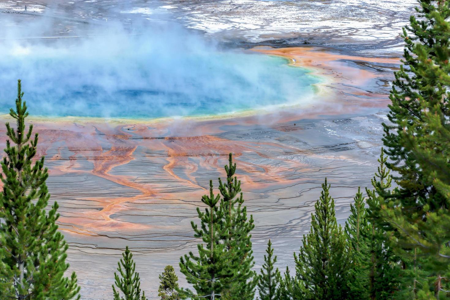 Grand Prismatic Spring photo