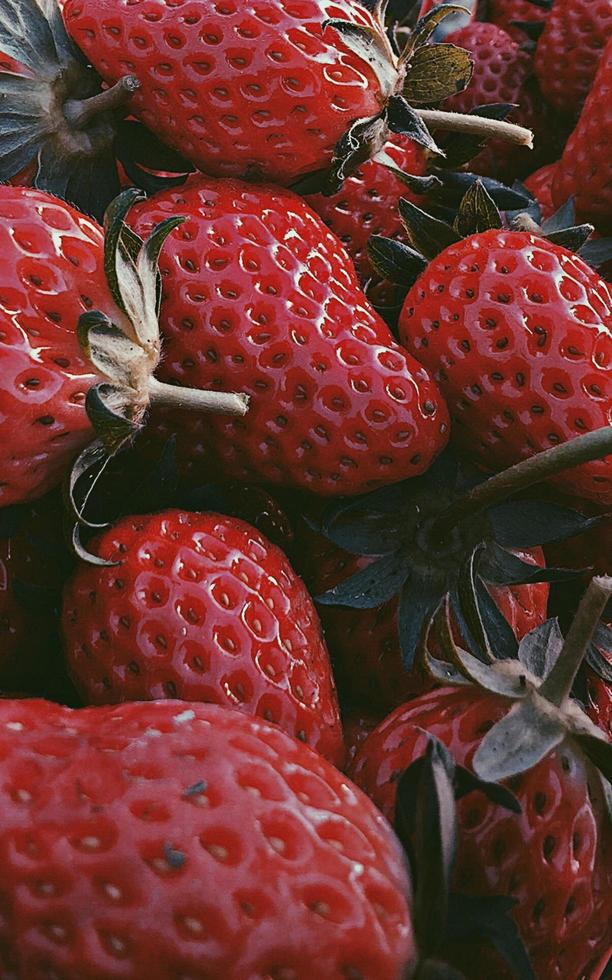 Strawberry background fruits photo