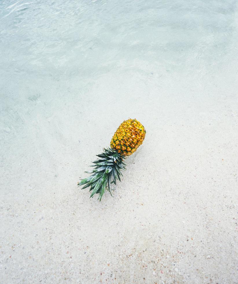 Pineapple fruit on the sea photo