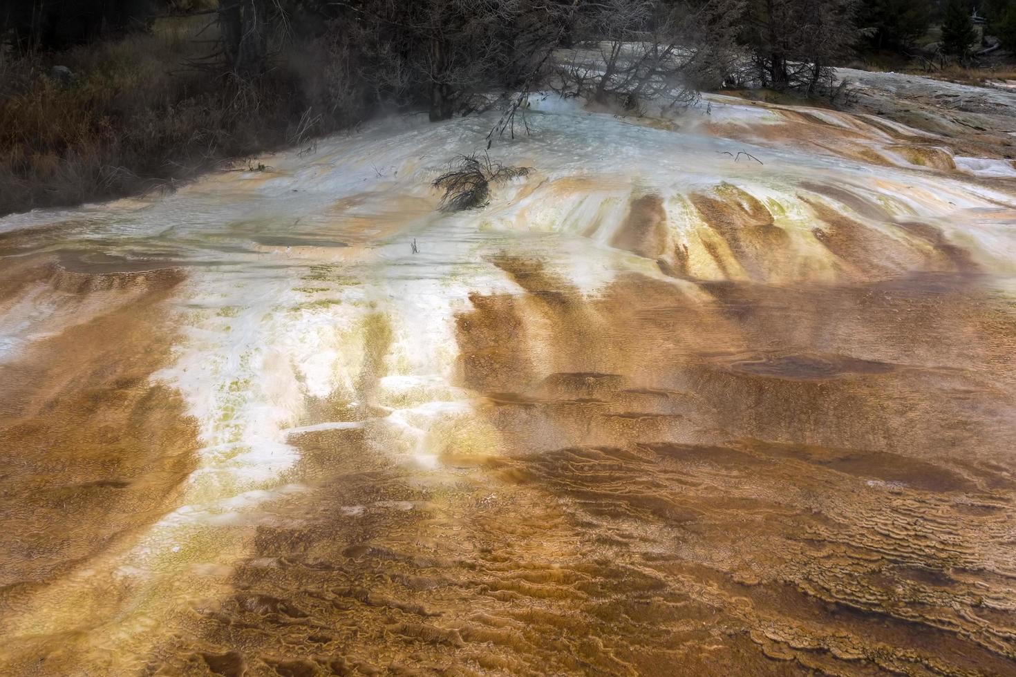 Mammoth Hot Springs photo