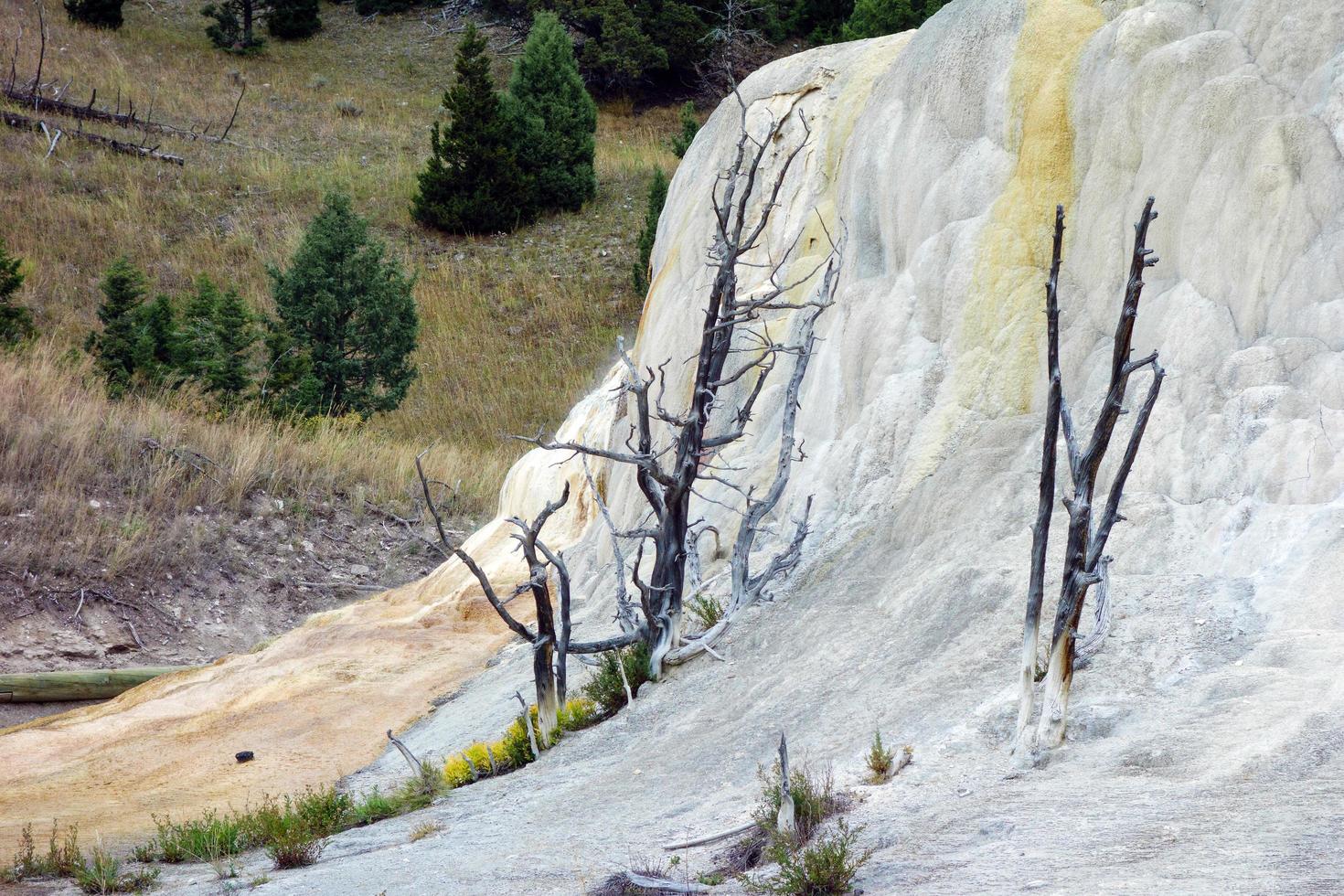 montículo de primavera naranja en mammoth hot springs foto