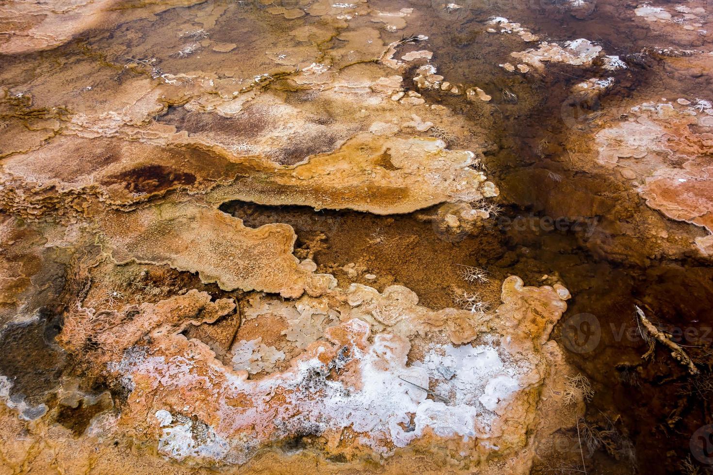 Mammoth Hot Springs photo