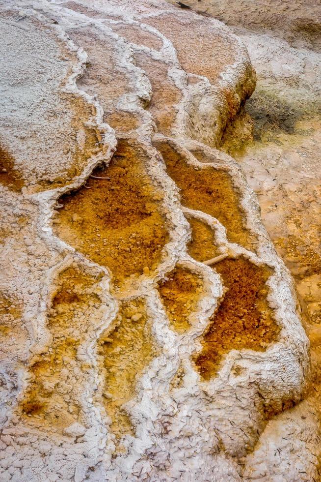 Close up of Mammoth Hot Springs photo