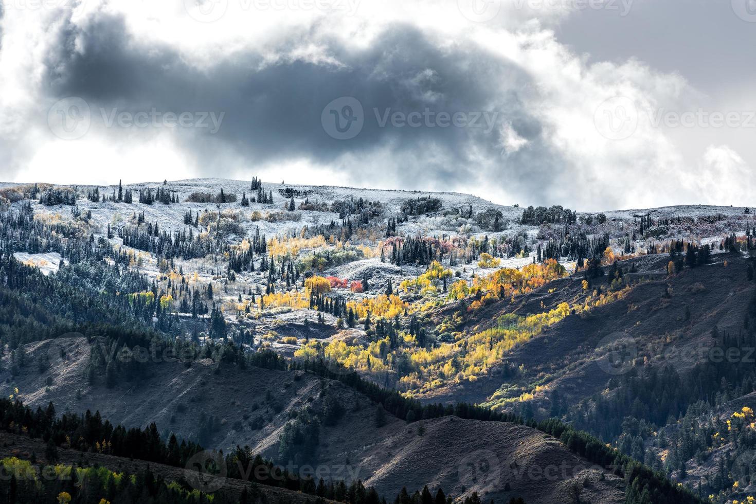 Autumn Colours in Wyoming photo