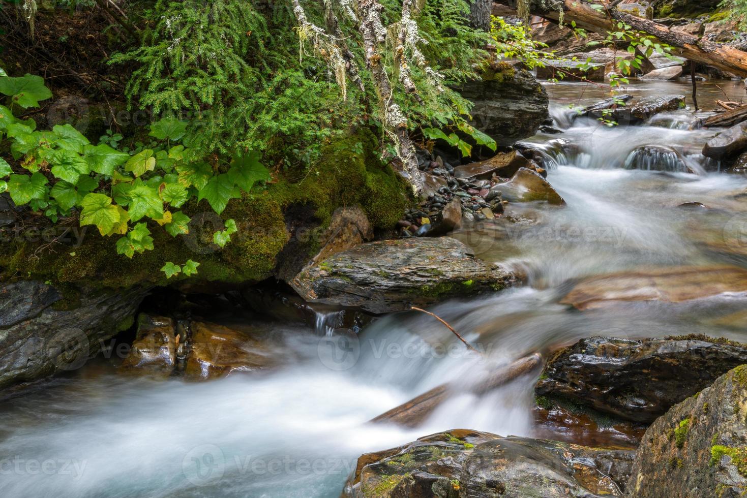 Holland Creek in Montana photo