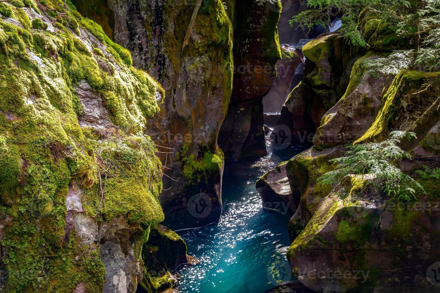 buscando en avalanche creek en montana foto