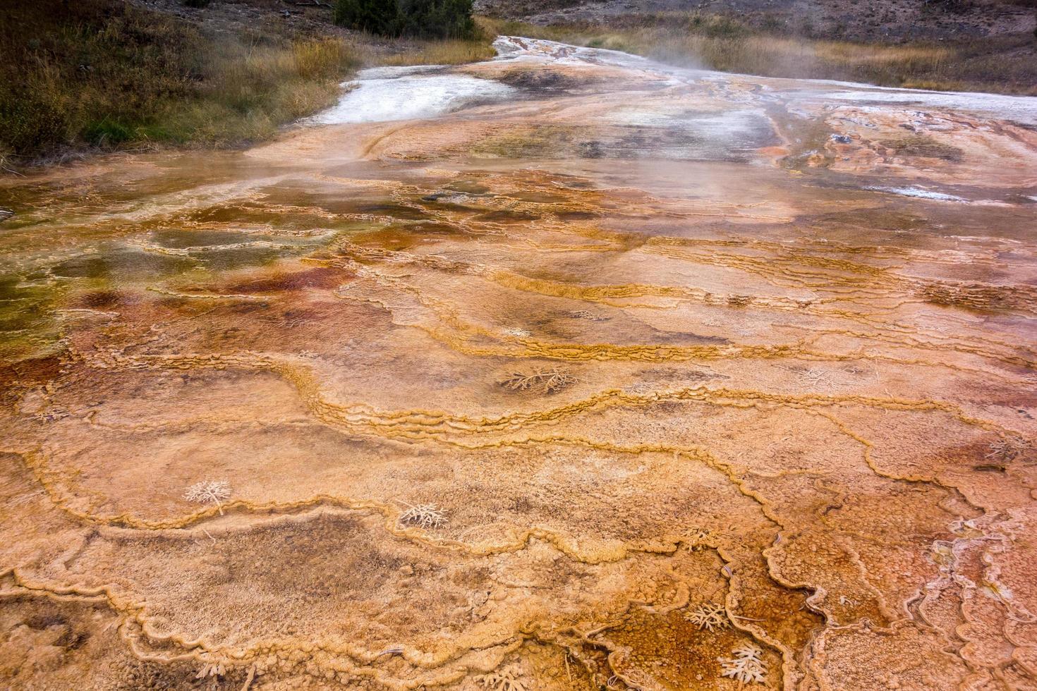 Mammoth Hot Springs foto