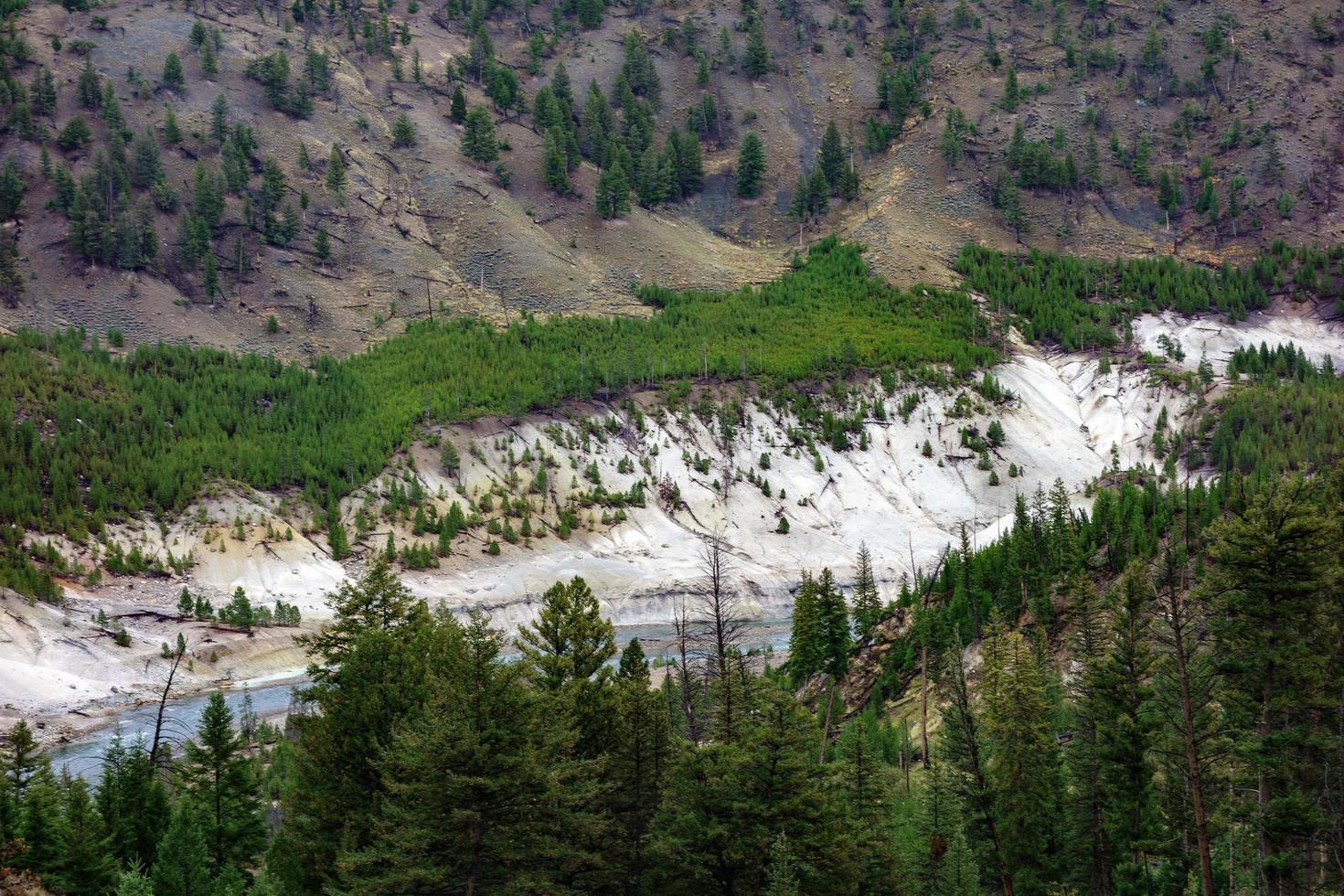 View of the Yellowstone River photo