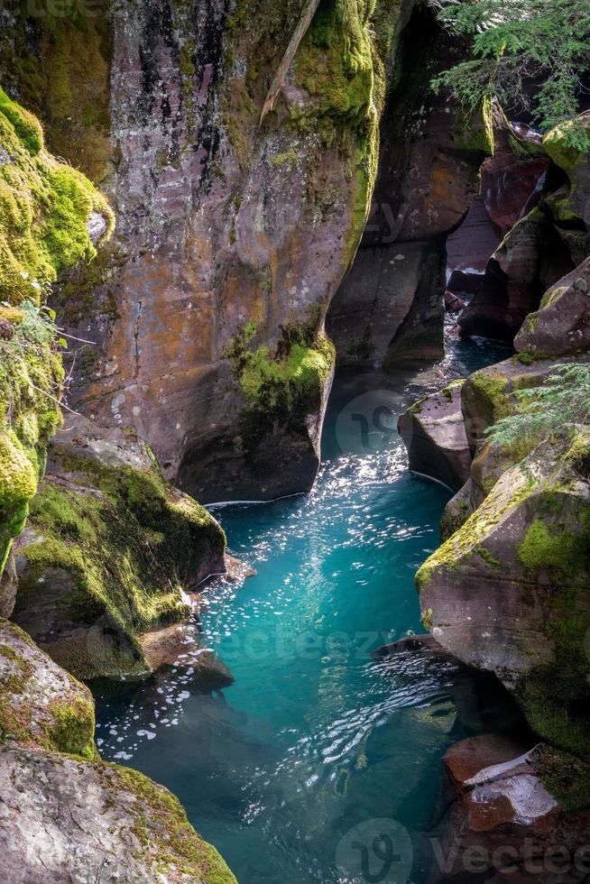 buscando en avalanche creek en montana foto