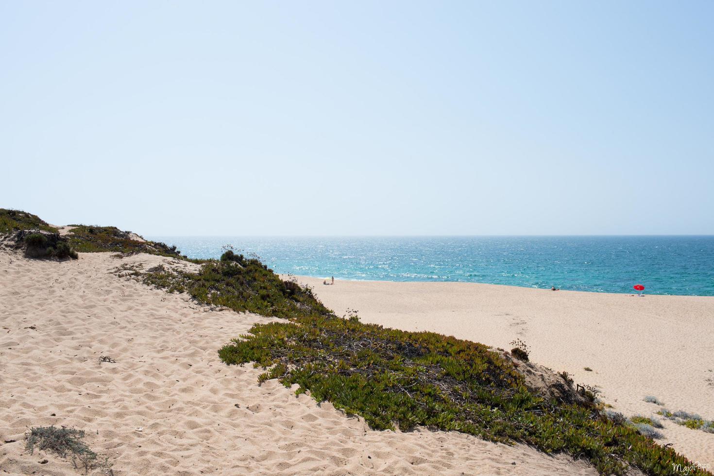 hermosa vista de la costa atlántica en portugal. playa de arena en un día soleado. alentejo foto