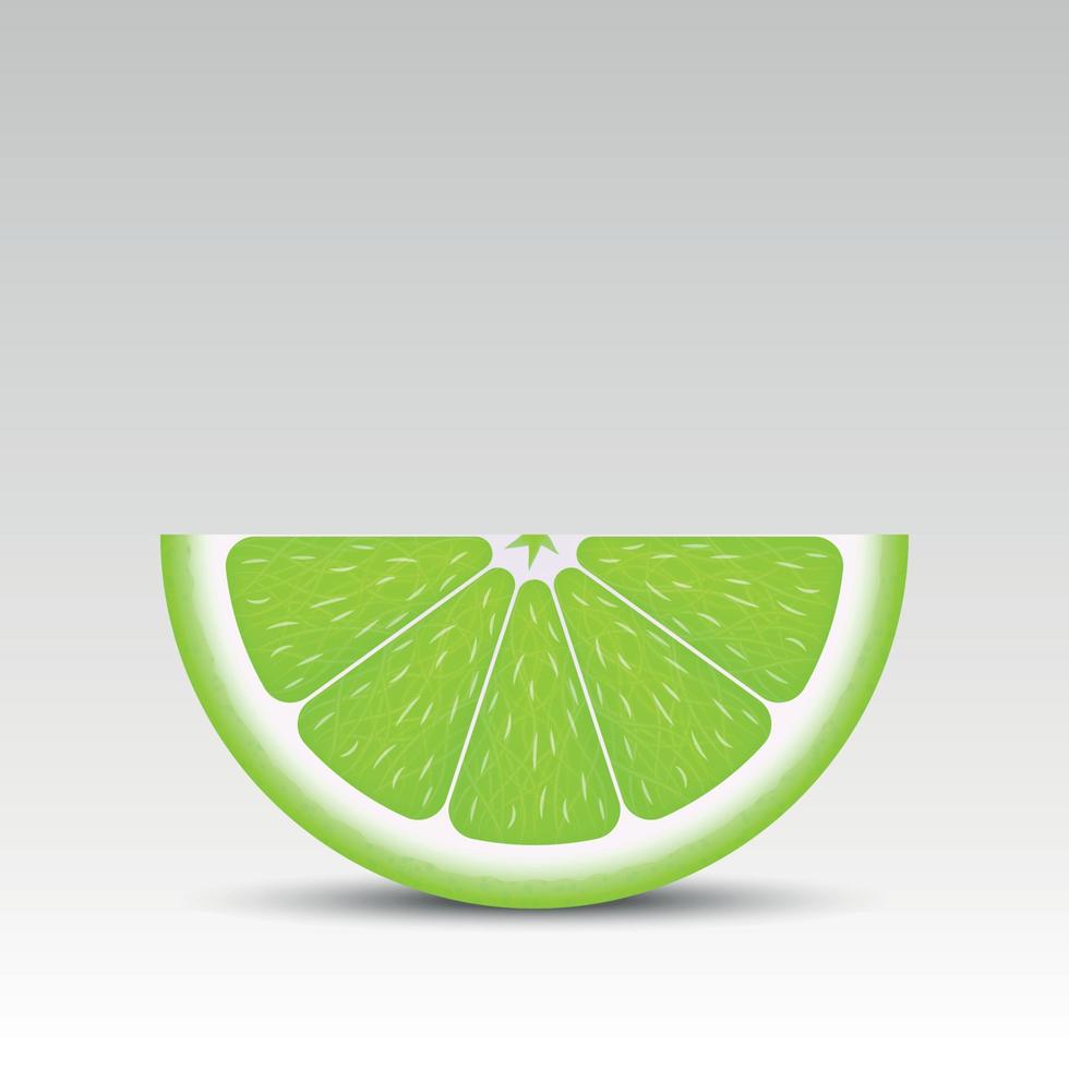 Realistic lime slice vector