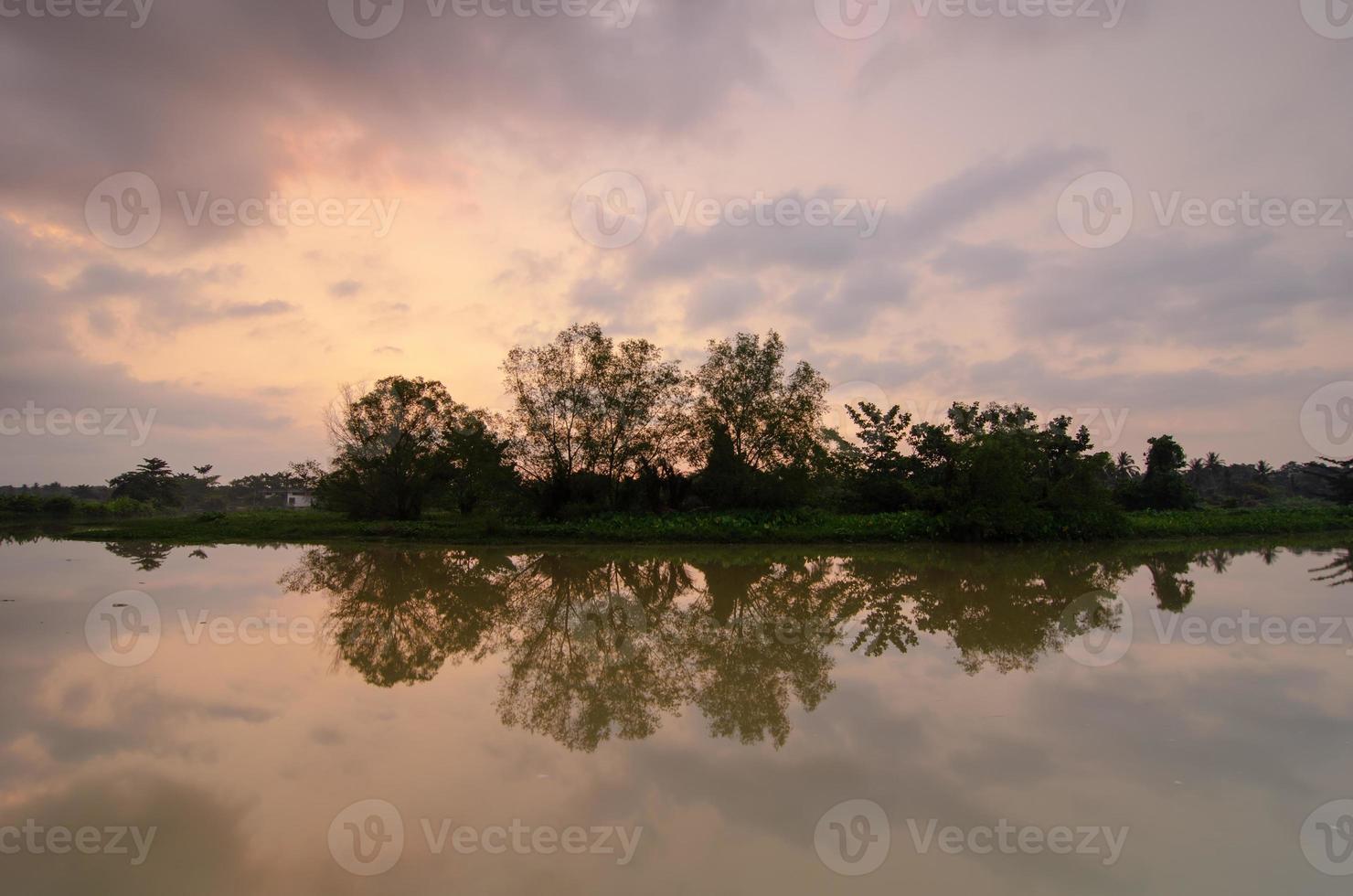 reflejo de hermosos árboles verdes bajo un cielo dramático foto