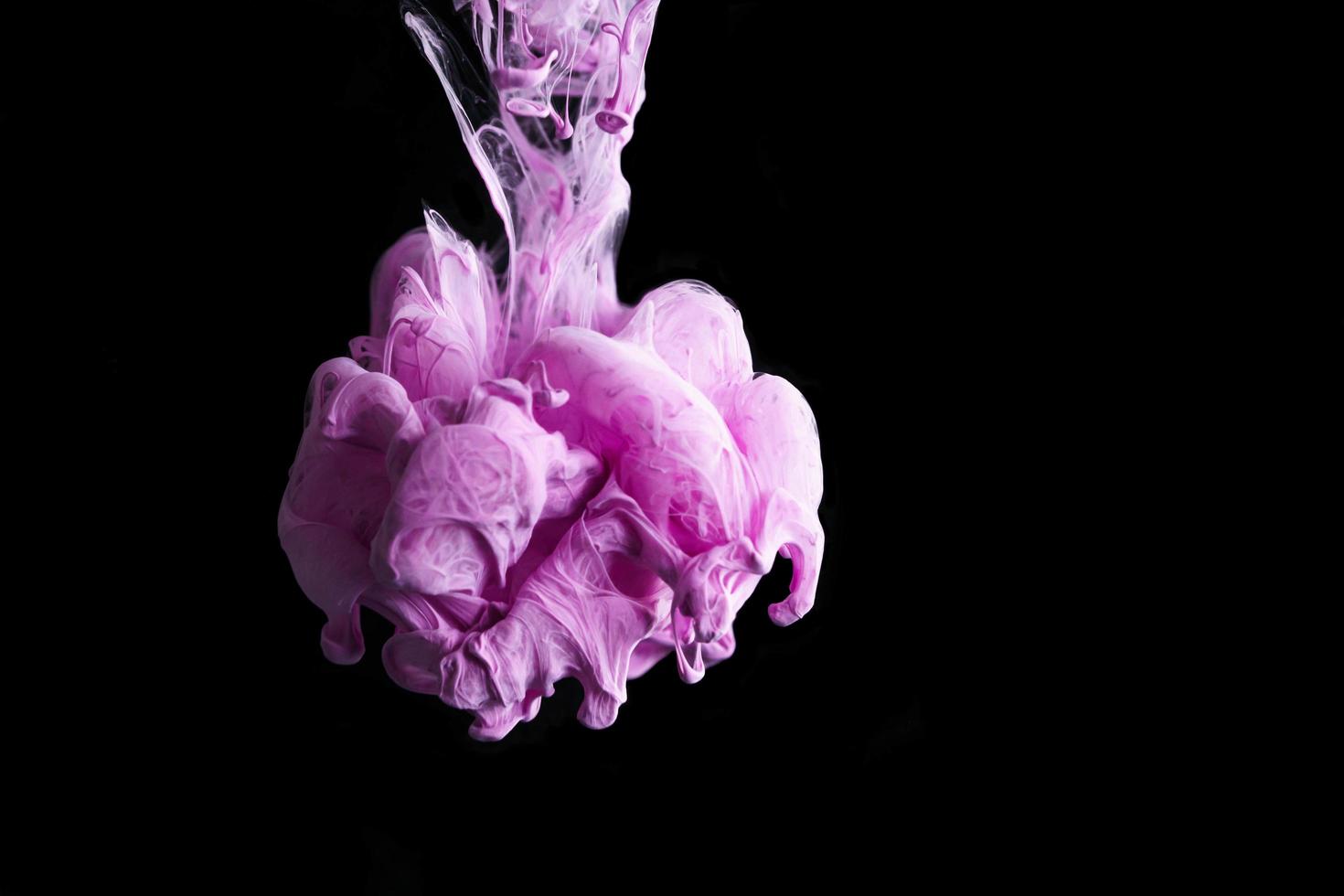 Pink colorful ink drop in water, Ink swirling in. abstraction image for background or color referent. photo