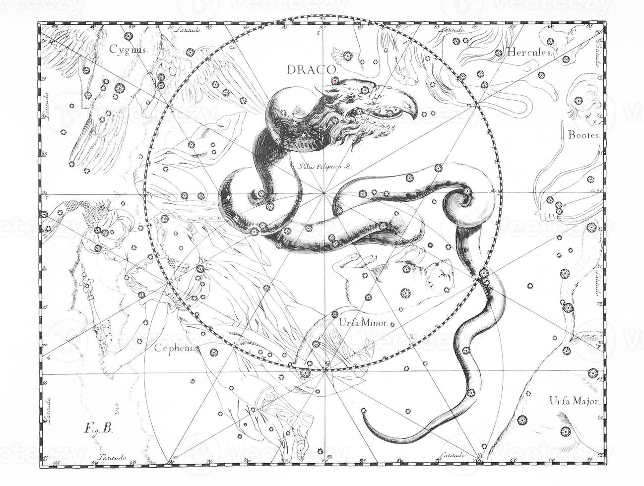 astronomical constellation of the dragon on a light background photo