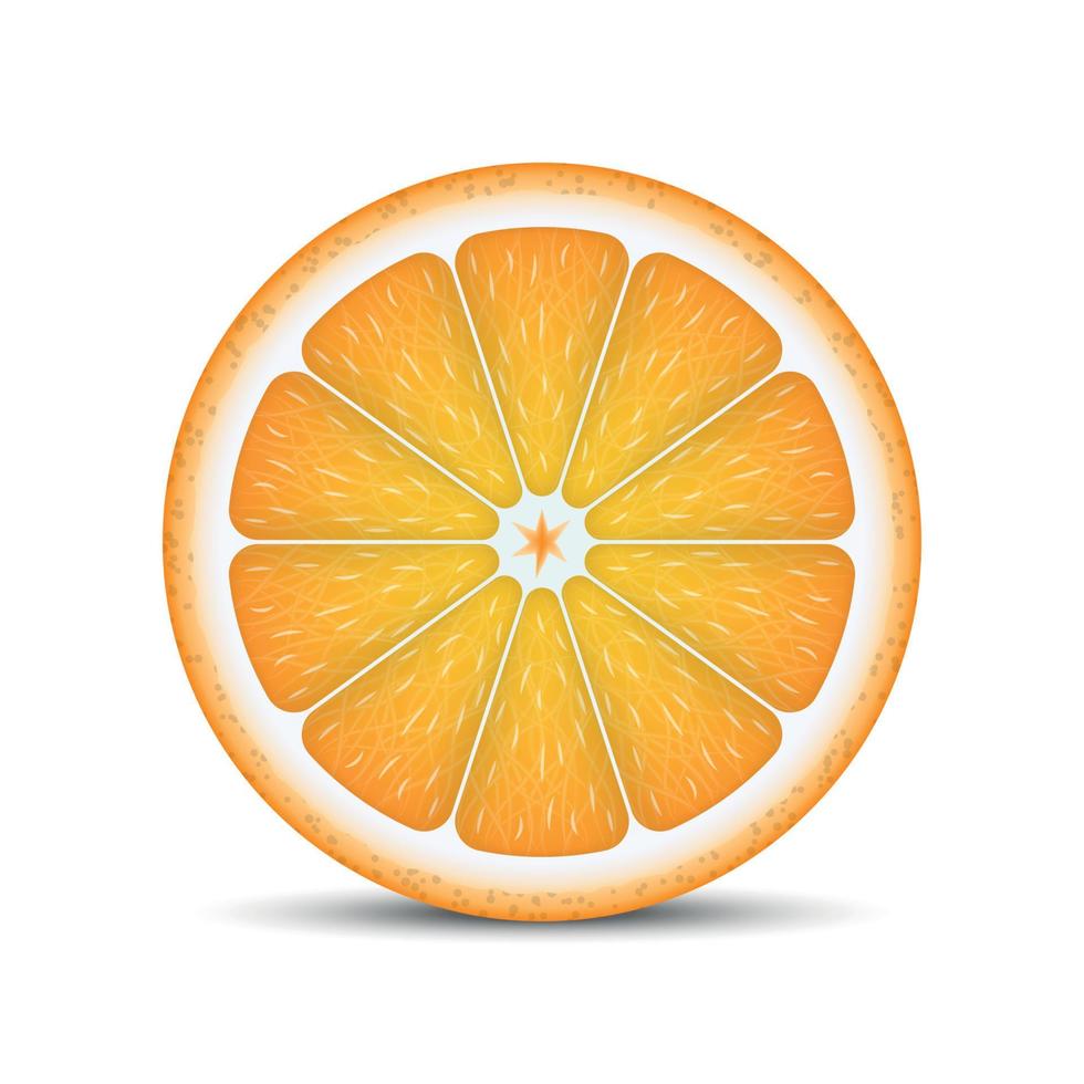 rodaja de naranja realista vector
