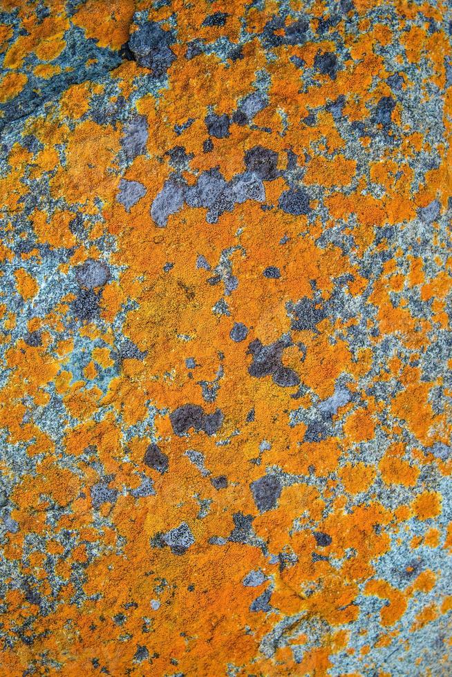 Cover page with beautiful colorful lichen patterns on the rocks in Patagonia, South America, as background concept. photo