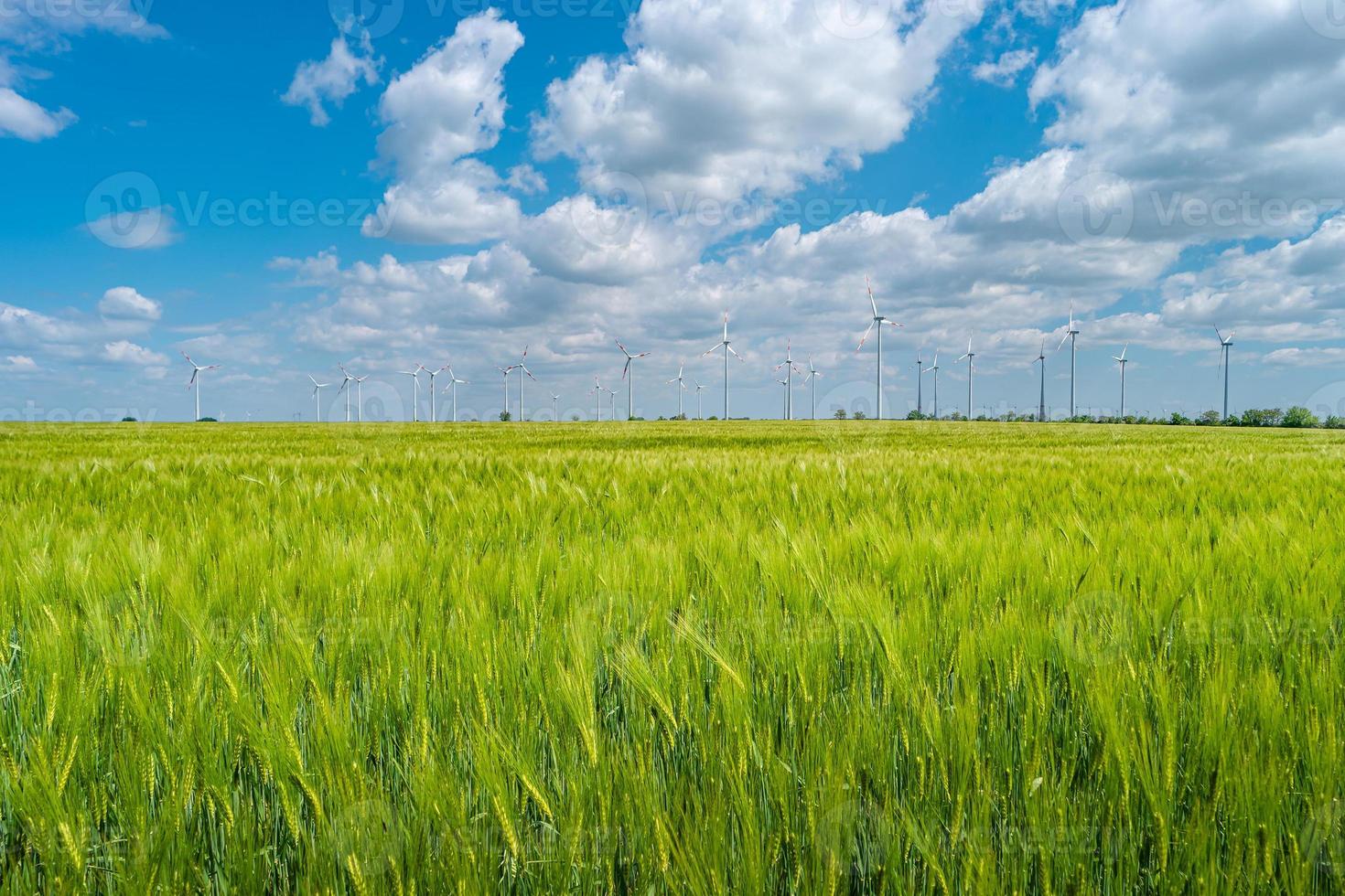 View over beautiful farm landscape with green wheat field and wind turbines to produce green energy in Germany, Spring, blue dramatic rainy sky and sunny day. photo