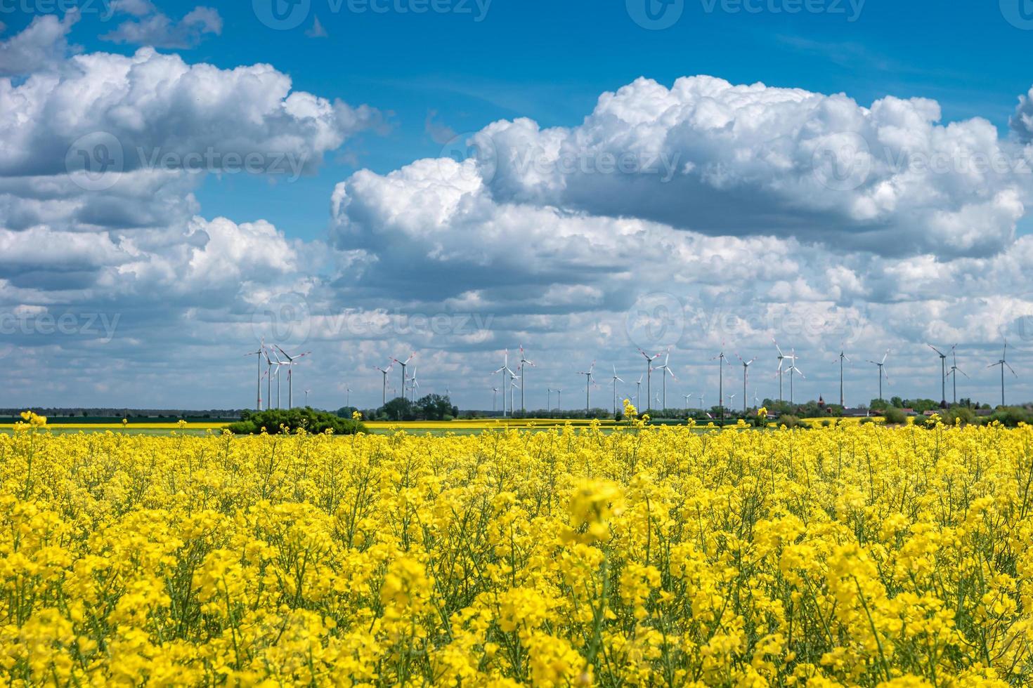 Beautiful farm landscape with yellow rapeseed at blossom field, wind turbines to produce green energy and high voltage power lines in Germany, at Spring and dramatic rainy sky. photo
