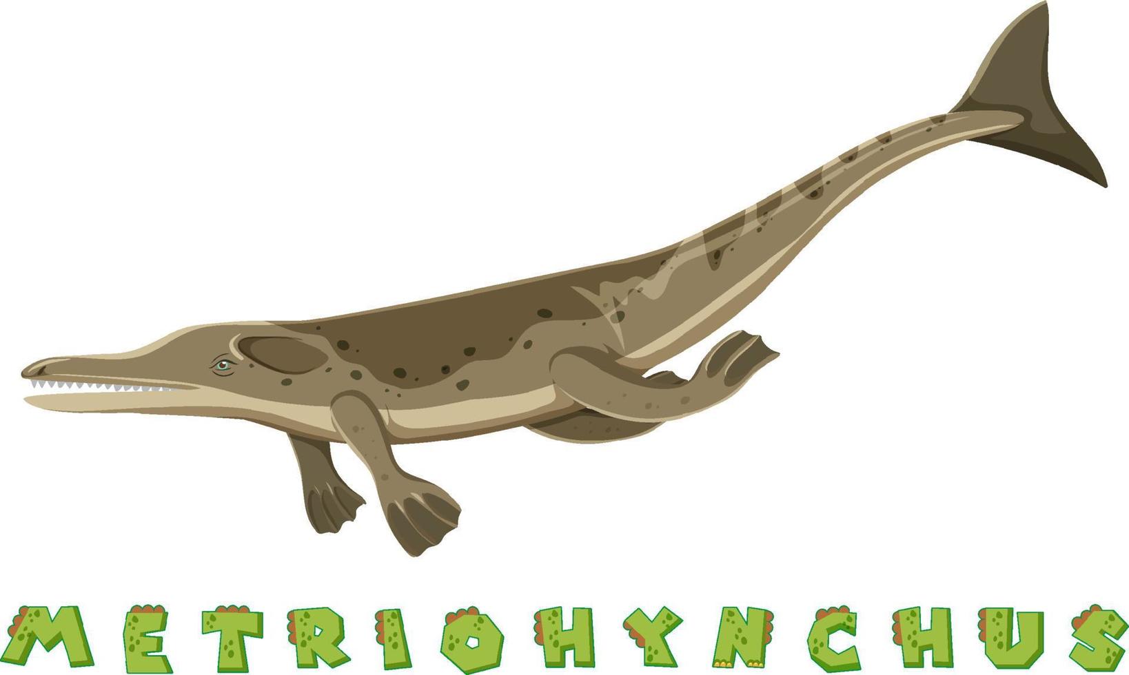 wordcard de dinosaurio para metriohynchus vector