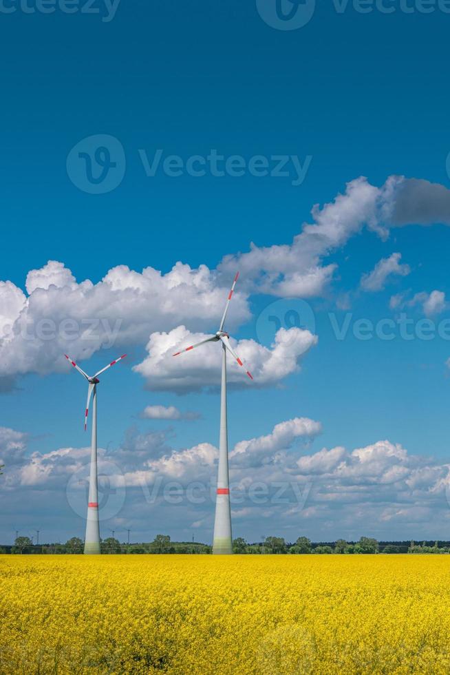 View over beautiful farm landscape with rapeseed yellow at blossom field, wind turbines to produce green energy in Germany, Spring, blue sky and sunny day. photo
