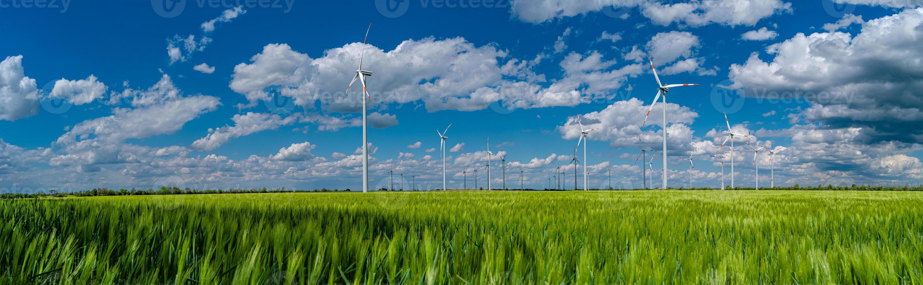 Panoramic view over beautiful farm landscape with green wheat field and wind turbines to produce green energy in Germany, Spring, blue dramatic sky and sunny day. photo