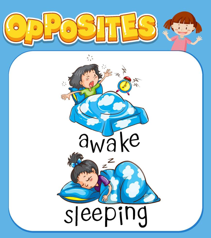 Opposite words for awake and sleeping vector