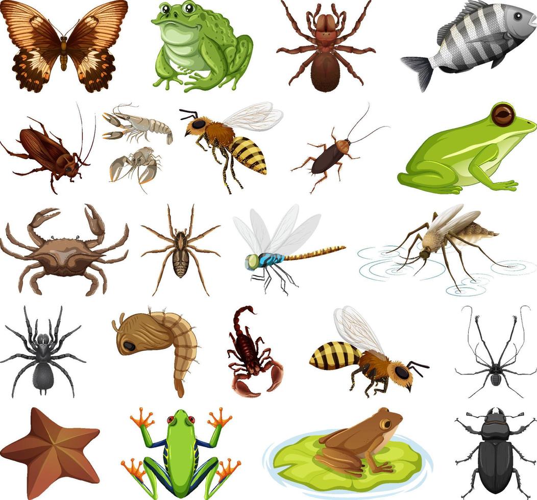 Different kinds of insects and animals on white background vector