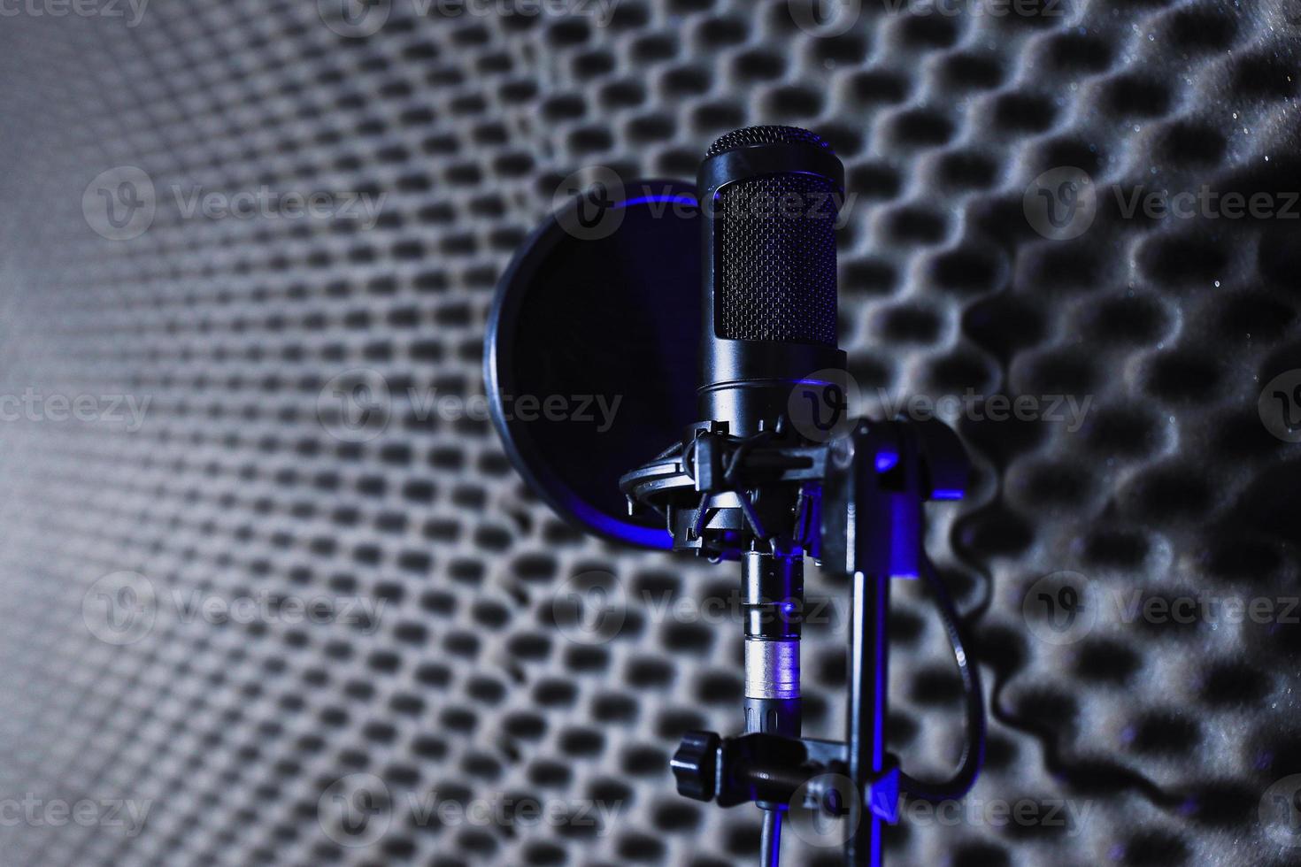 Recording equipment consists of mic, condenser mic and mic holder photo